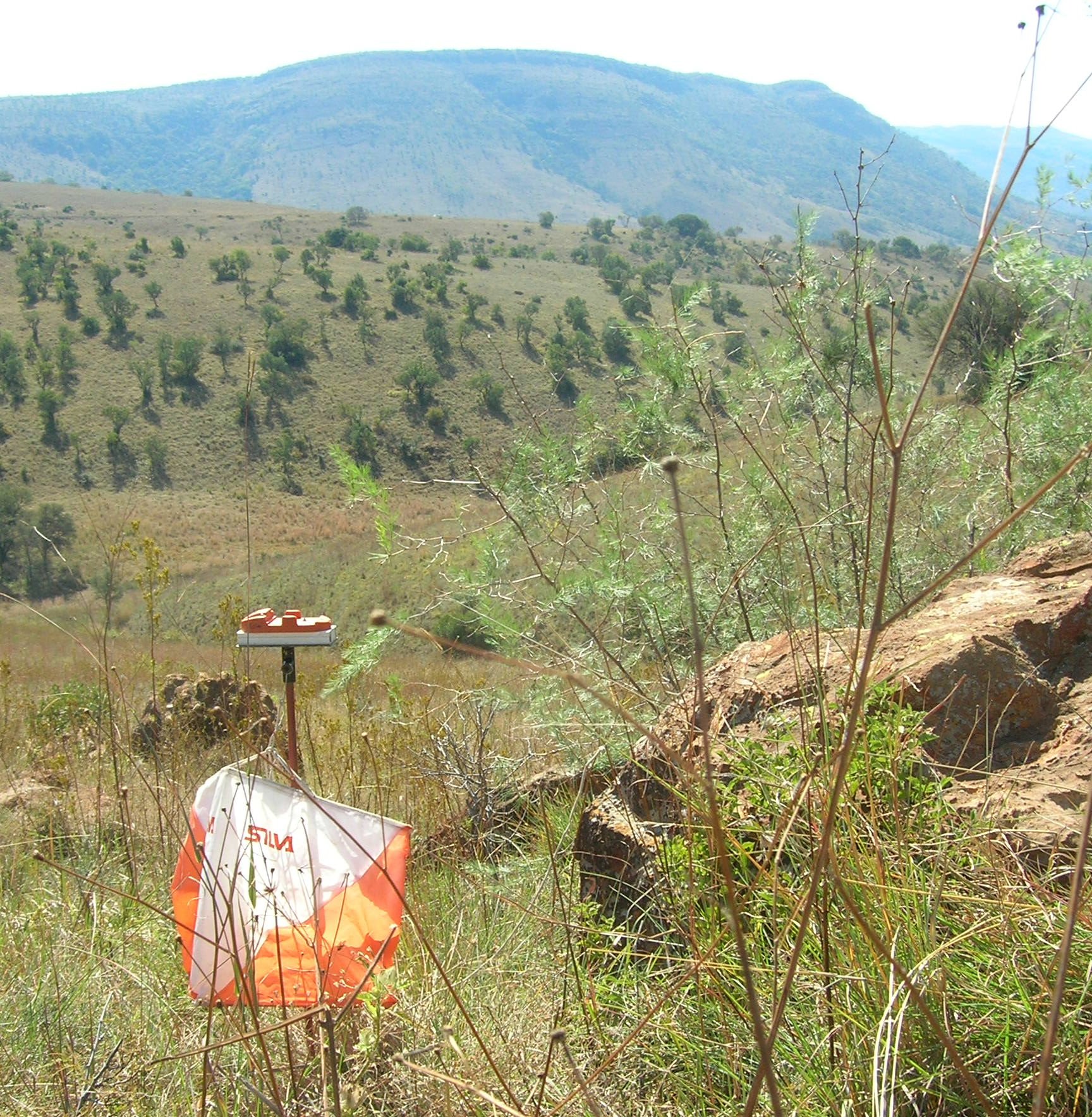 An orienteering control flag out in the Magaliesberg bushveld